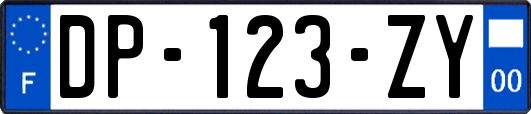 DP-123-ZY