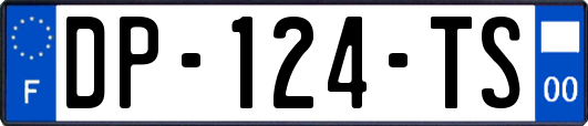 DP-124-TS