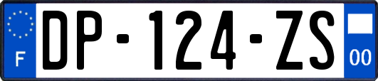 DP-124-ZS