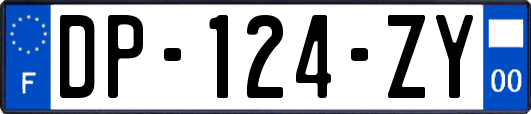 DP-124-ZY