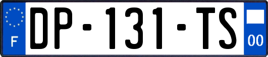 DP-131-TS