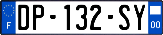 DP-132-SY
