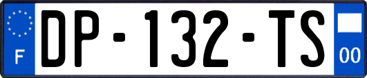 DP-132-TS
