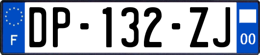 DP-132-ZJ