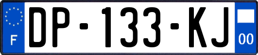 DP-133-KJ