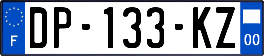 DP-133-KZ