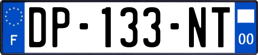 DP-133-NT