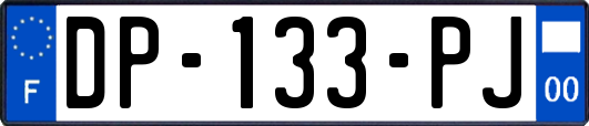 DP-133-PJ