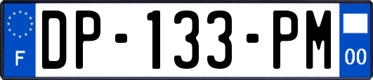 DP-133-PM