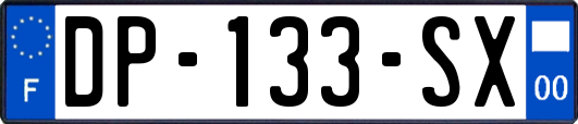 DP-133-SX