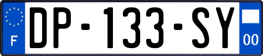 DP-133-SY