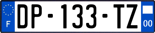 DP-133-TZ