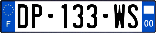 DP-133-WS