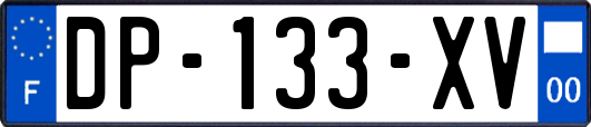 DP-133-XV