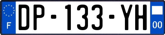 DP-133-YH