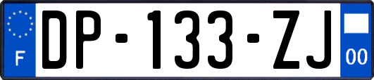 DP-133-ZJ