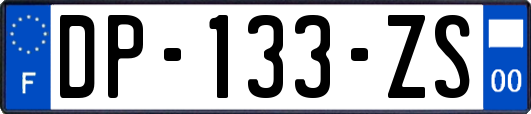 DP-133-ZS