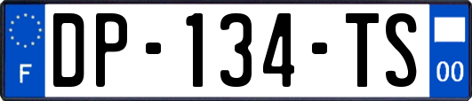 DP-134-TS
