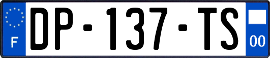 DP-137-TS