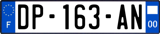 DP-163-AN