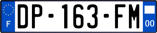 DP-163-FM