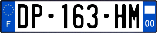DP-163-HM