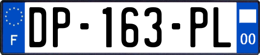 DP-163-PL