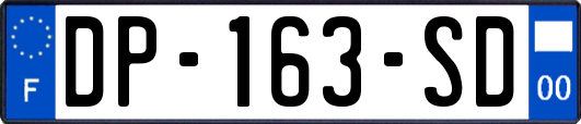 DP-163-SD