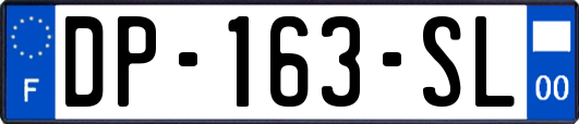 DP-163-SL