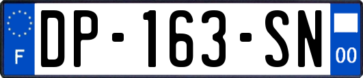 DP-163-SN