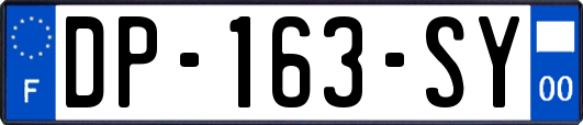 DP-163-SY