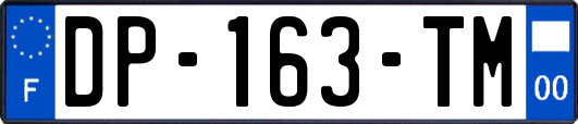 DP-163-TM