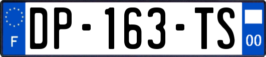 DP-163-TS