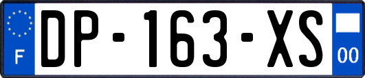 DP-163-XS