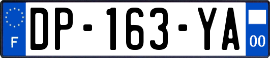 DP-163-YA