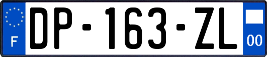 DP-163-ZL