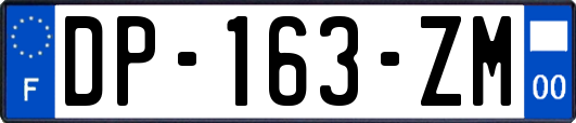 DP-163-ZM