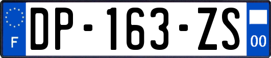 DP-163-ZS