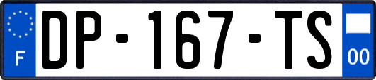 DP-167-TS