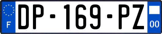 DP-169-PZ