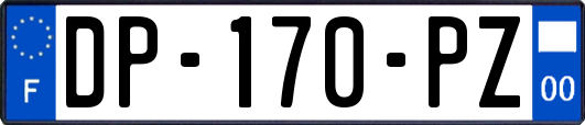 DP-170-PZ