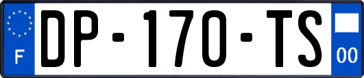 DP-170-TS