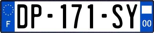 DP-171-SY