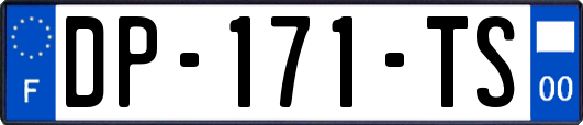 DP-171-TS