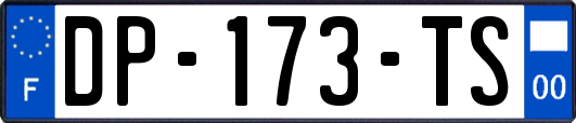 DP-173-TS