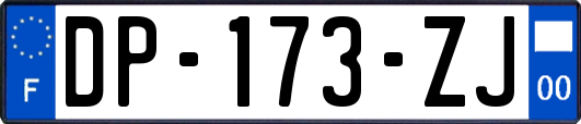 DP-173-ZJ