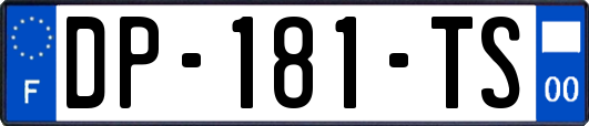 DP-181-TS