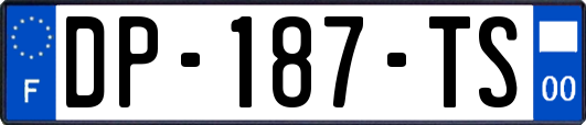 DP-187-TS