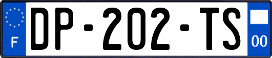 DP-202-TS