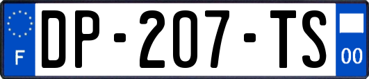 DP-207-TS